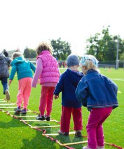 Curso de Educación Física